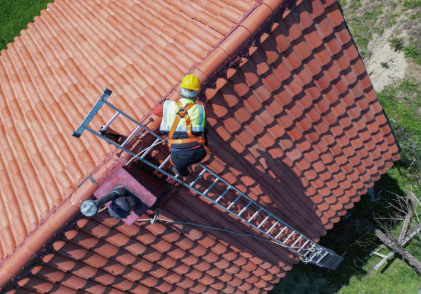 Best Solar Panel Roofing Installation  in Windsor, IL